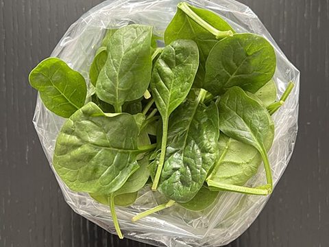 Baby Spinach